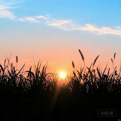 日落逆光剪影治愈风景头像合集 风景微信头像
