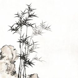 国风意境植物头像合集 植物风微信头像