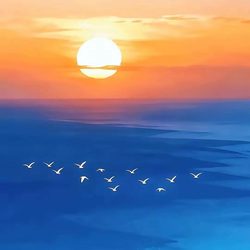 夕阳无限好 风景微信头像
