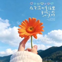 手举鲜花治愈头像 治愈风微信头像