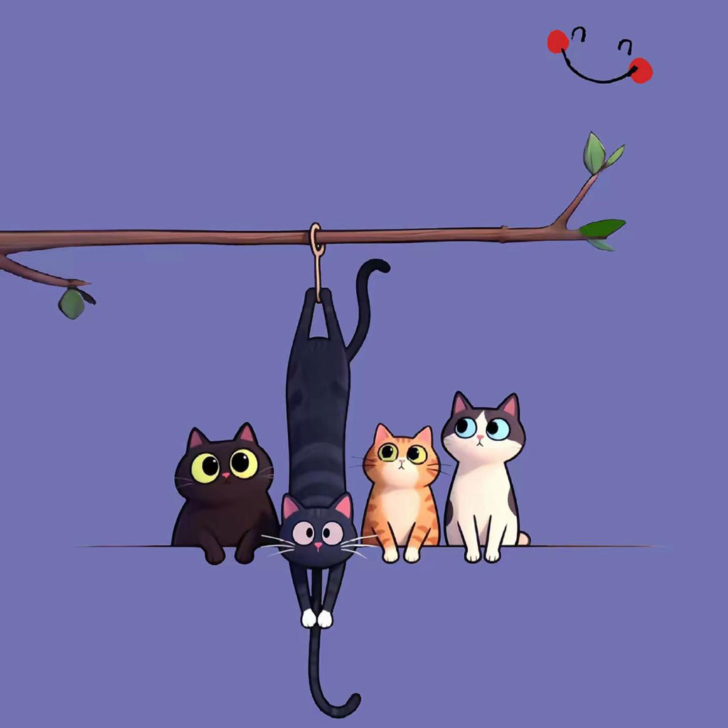 四只猫咪