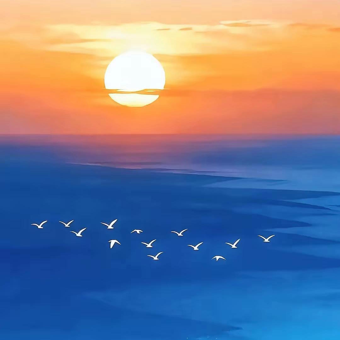 夕阳无限好